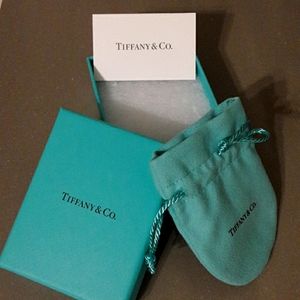 Brand new Tiffany tie pouch and box